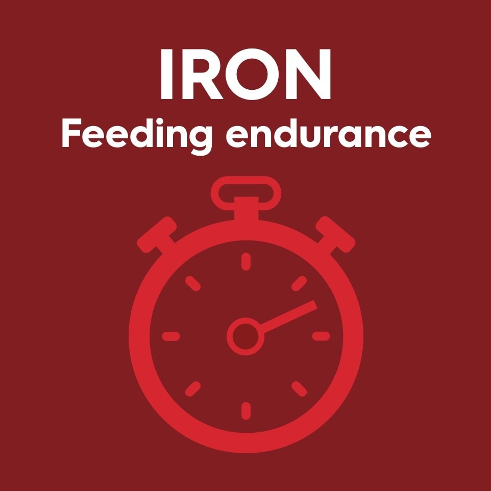 Iron image